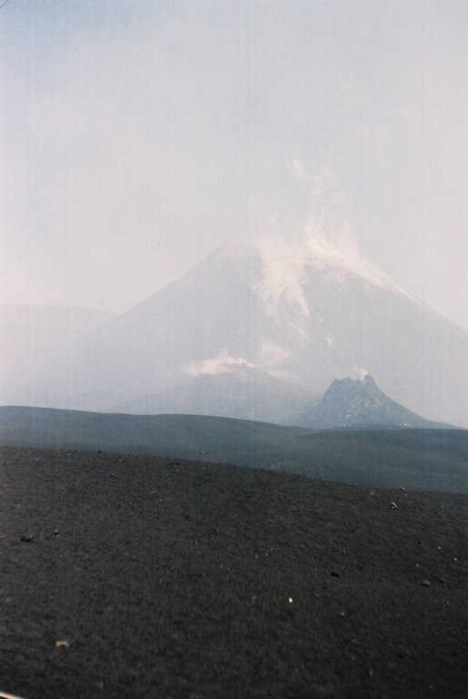 f1010008.jpg