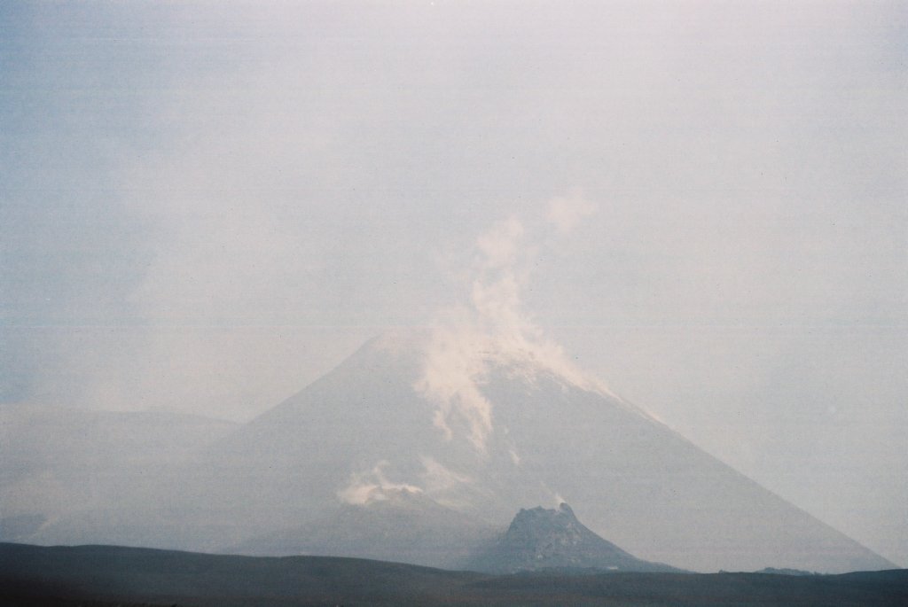 f1010009.jpg