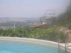 p7290119_small.jpg