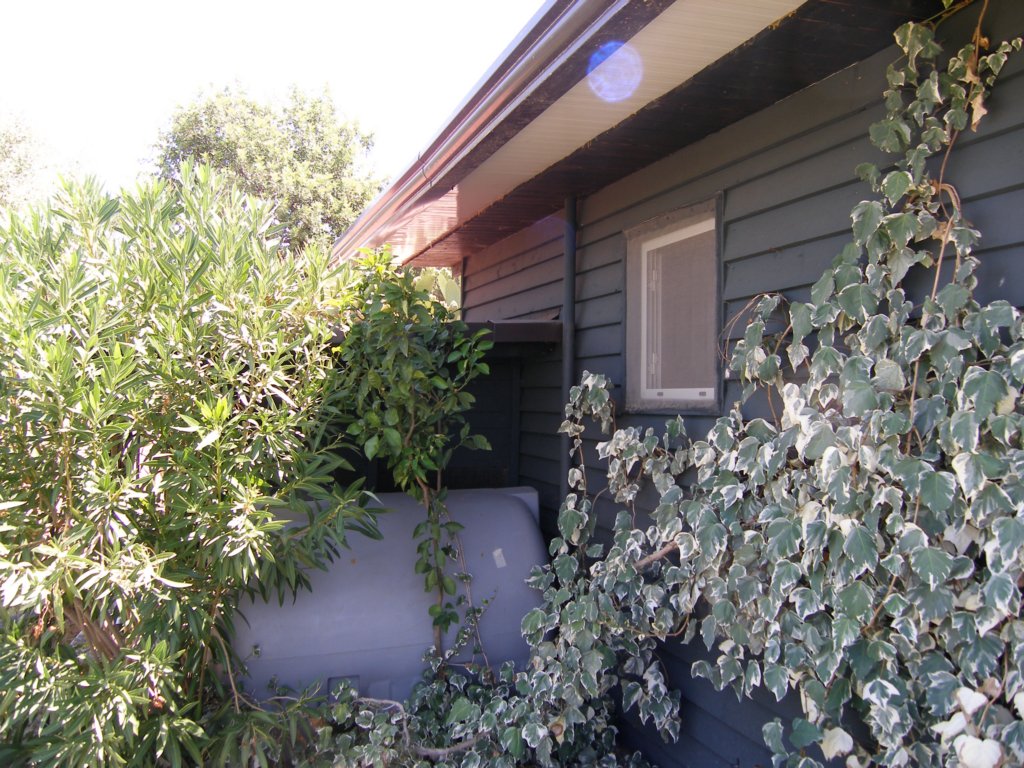p8010043.jpg