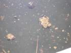 p8020074_small.jpg