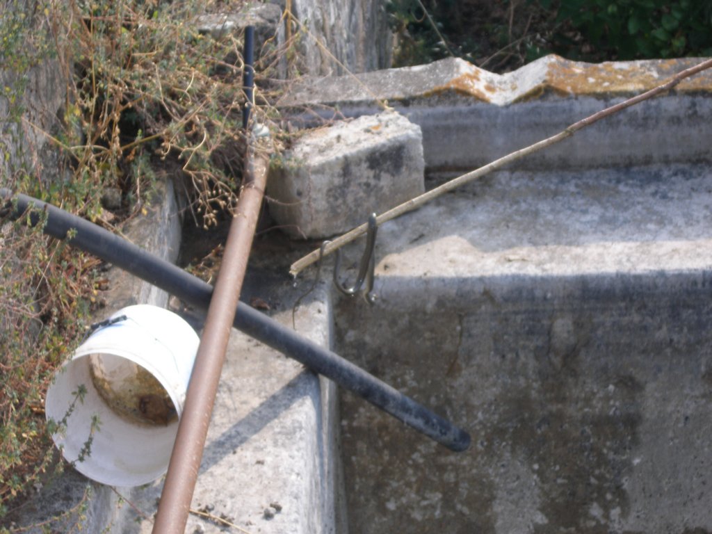 p8020087.jpg