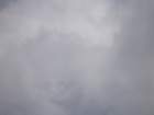 p8100202_small.jpg
