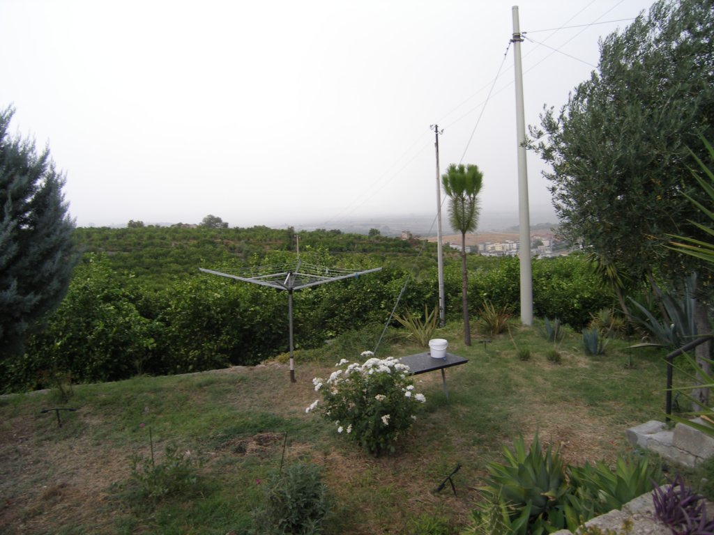 p8110274.jpg