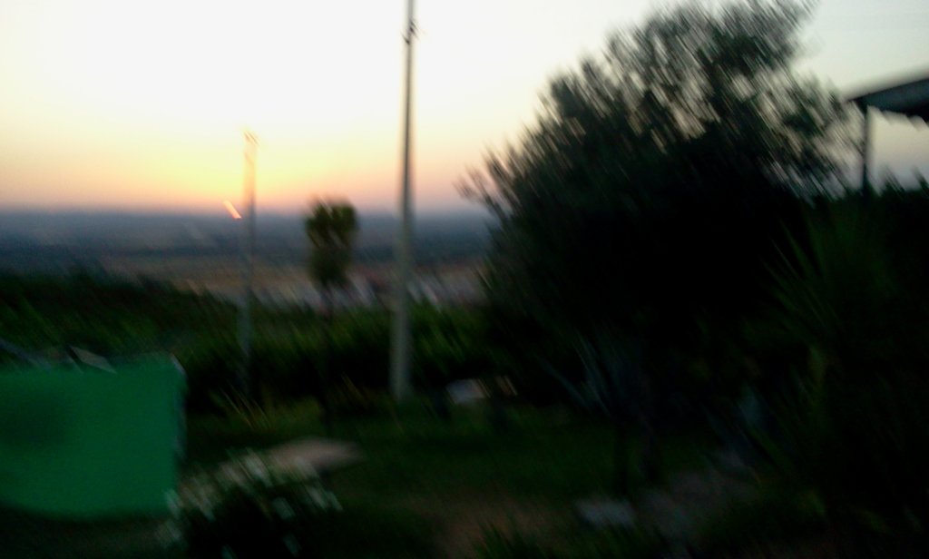 photo51.jpg