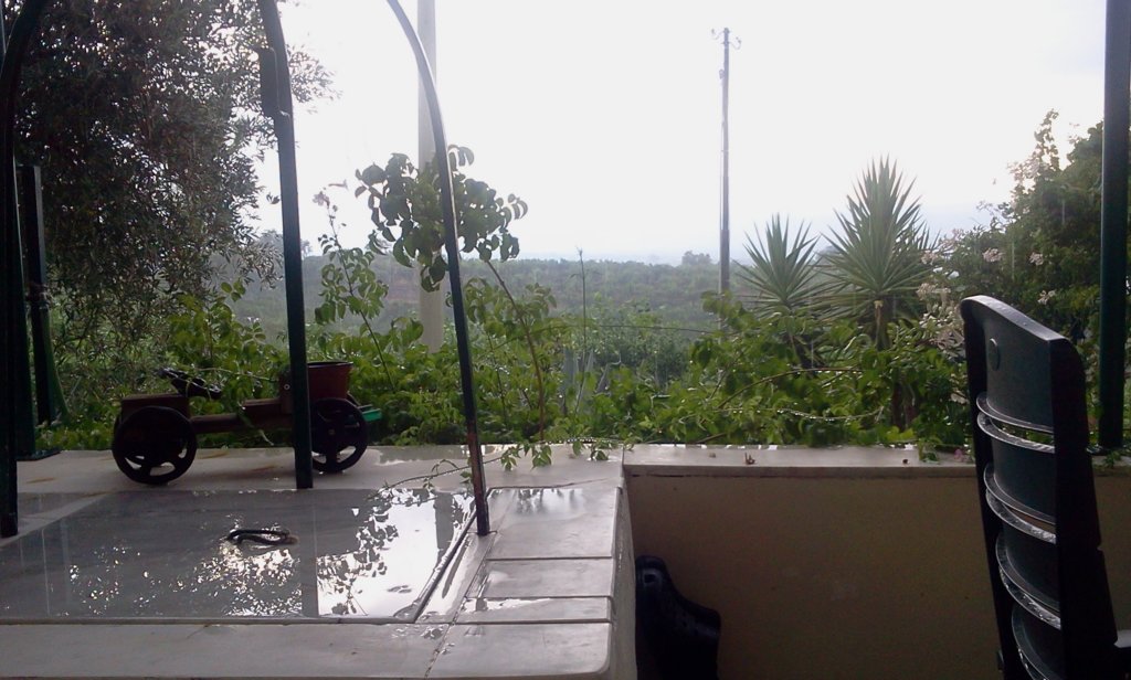 photo76.jpg