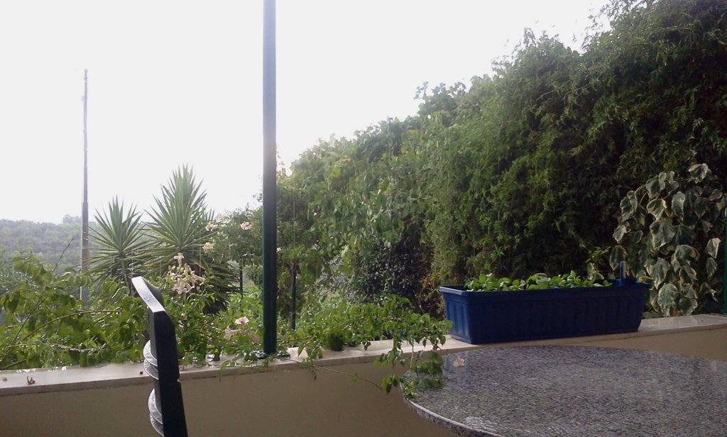 photo77.jpg